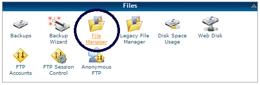 Wordpress-child-theme-File-manager